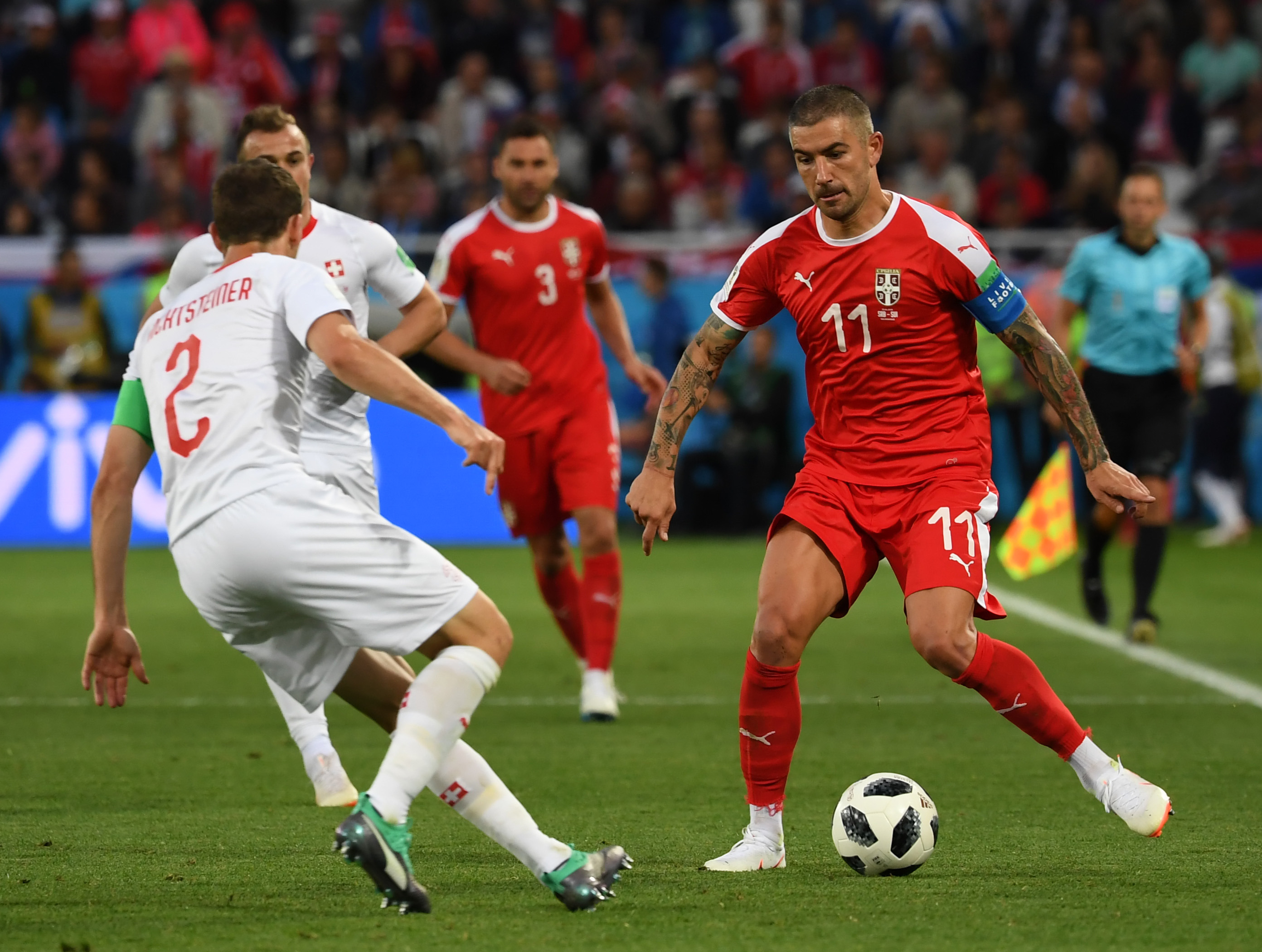  Rookie关键节点问鼎冠军，塞尔维亚队带队取胜！-乐动体育入口